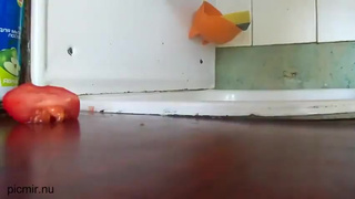 Секс игрушки смотреть секс видео онлайн